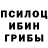 Псилоцибиновые грибы Cubensis explosive.graffiti.03