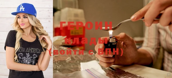 индика Осташков