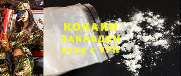 шишки Аркадак