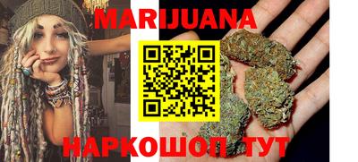 крисы Шахты