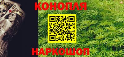 крисы Шахты