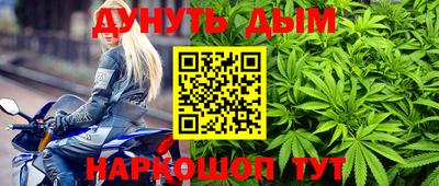 стаф Шелехов