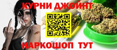 стаф Шелехов