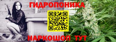 стаф Шелехов