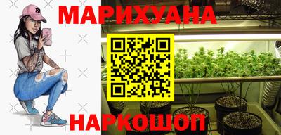 стаф Шелехов