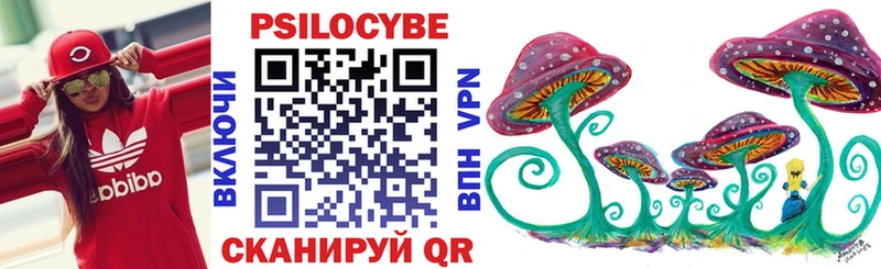 Галлюциногенные грибы Psilocybe  Октябрьский 