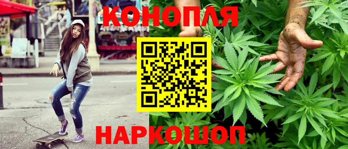 Конопля MAZAR Октябрьский